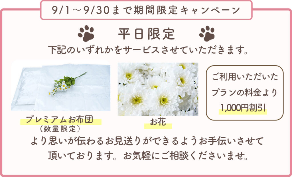 期間限定キャンペーン プレミアムお布団、お花、ご利用いただいたプランの料金より1000円割引のいずれかをサービスさせていただきます。